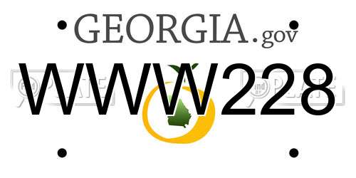 WWW228 Georgia License Plate