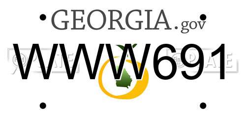 WWW691 Georgia License Plate