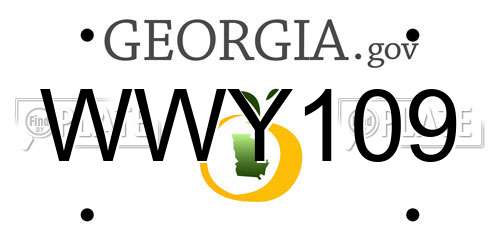WWY109 Georgia License Plate