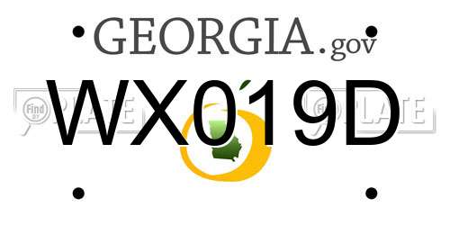 WX019D Georgia License Plate