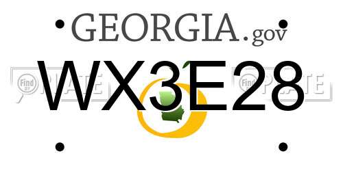 WX3E28 Georgia License Plate