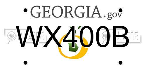 WX400B Georgia License Plate