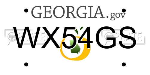 WX54GS Georgia License Plate