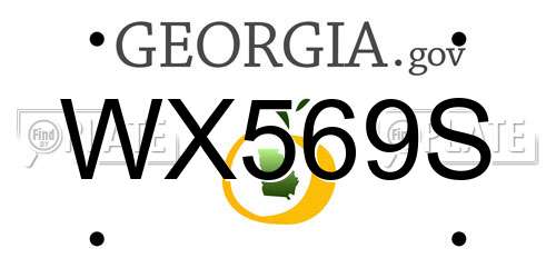 WX569S Georgia License Plate