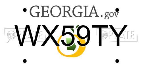 WX59TY Georgia License Plate