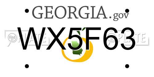 WX5F63 Georgia License Plate