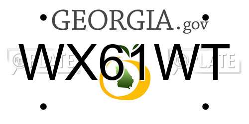 WX61WT Georgia License Plate
