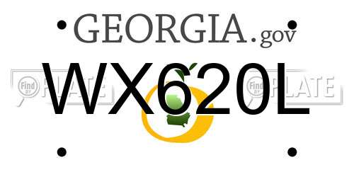WX620L Georgia License Plate