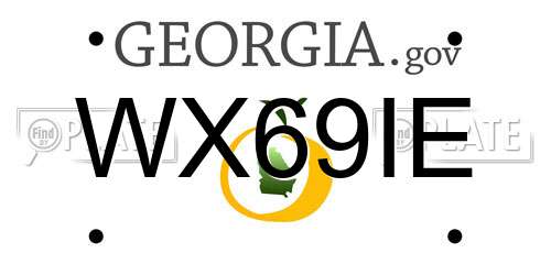 WX69IE Georgia License Plate