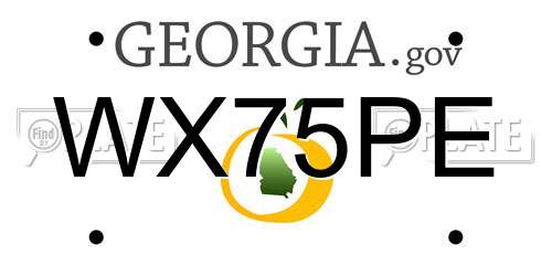 WX75PE Georgia License Plate
