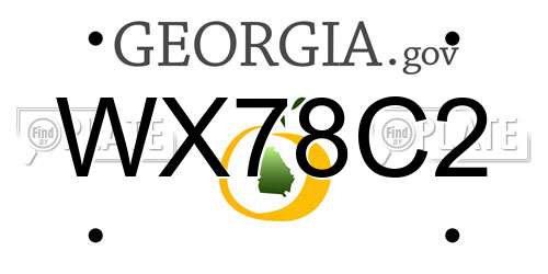WX78C2 Georgia License Plate