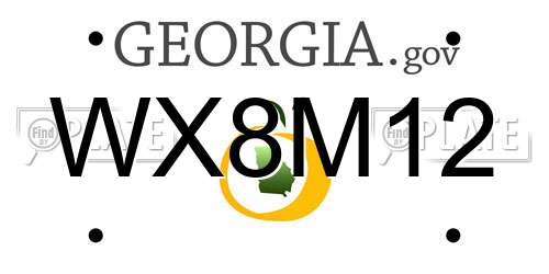 WX8M12 Georgia License Plate