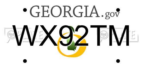WX92TM Georgia License Plate