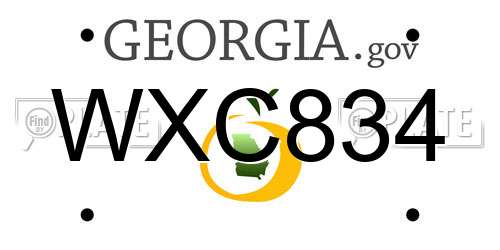 WXC834 Georgia License Plate