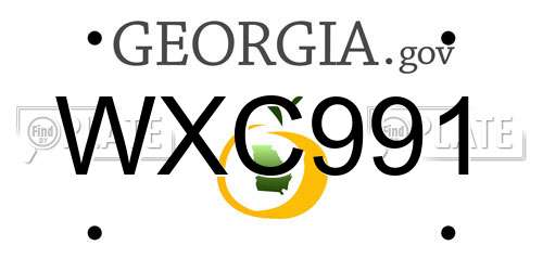WXC991 Georgia License Plate