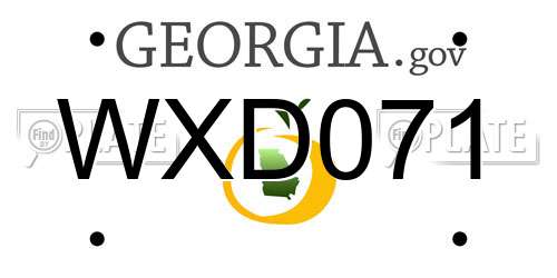 WXD071 Georgia License Plate