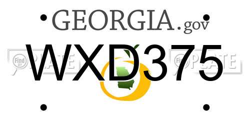 WXD375 Georgia License Plate