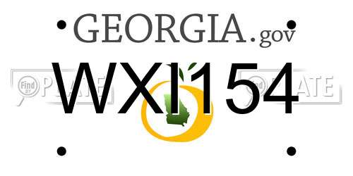 WXI154 Georgia License Plate