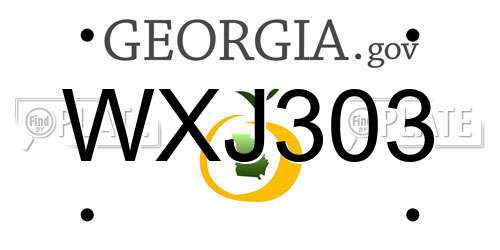 WXJ303 Georgia License Plate