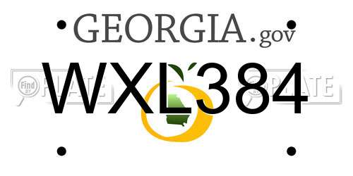 WXL384 Georgia License Plate