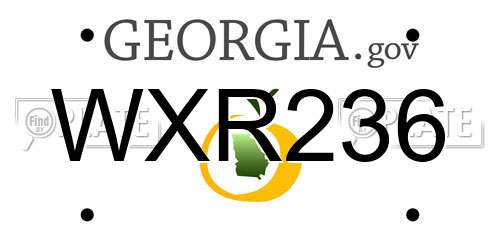 WXR236 Georgia License Plate