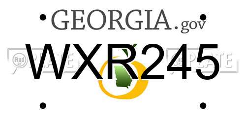 WXR245 Georgia License Plate