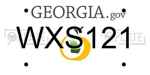 WXS121 Georgia License Plate