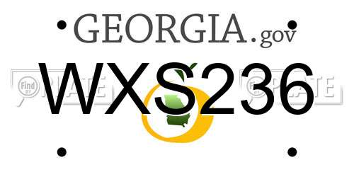 WXS236 Georgia License Plate