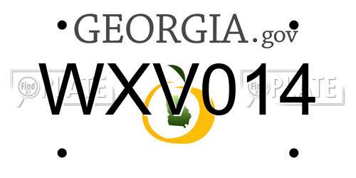 WXV014 Georgia License Plate