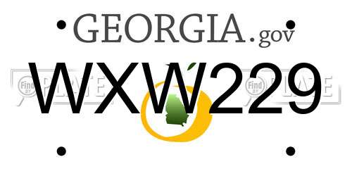 WXW229 Georgia License Plate
