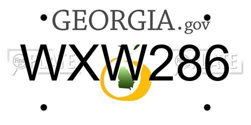 WXW286 Georgia License Plate