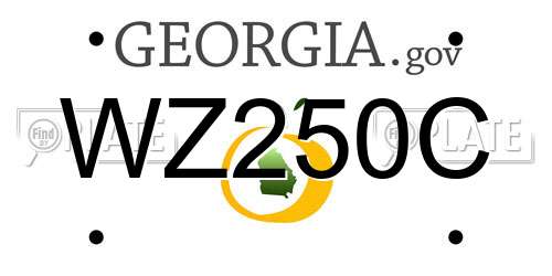 WZ250C Georgia License Plate