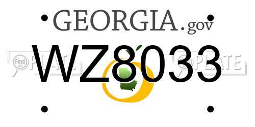 WZ8033 Georgia License Plate