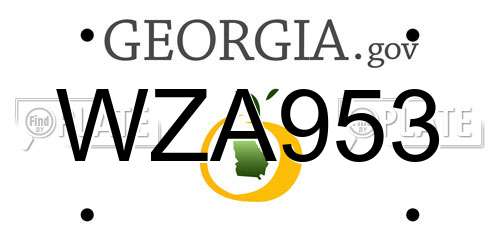 WZA953 Georgia License Plate