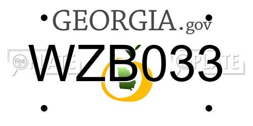 WZB033 Georgia License Plate