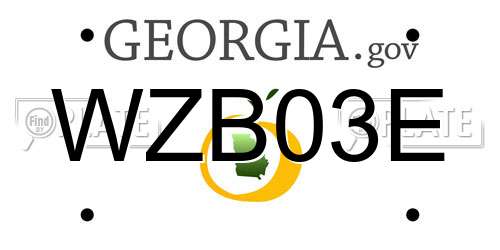 WZB03E Georgia License Plate