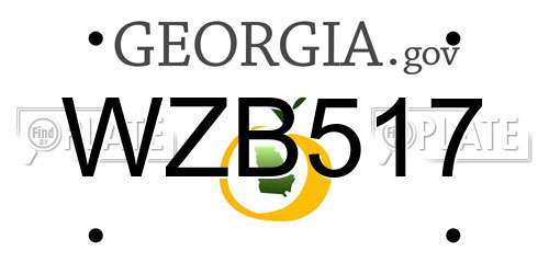 WZB517 Georgia License Plate