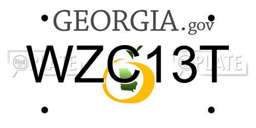 WZC13T Georgia License Plate