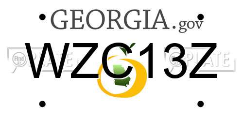 WZC13Z Georgia License Plate