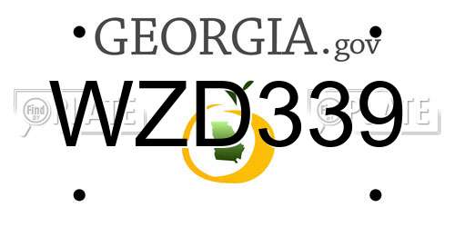 WZD339 Georgia License Plate