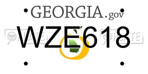 WZE618 Georgia License Plate
