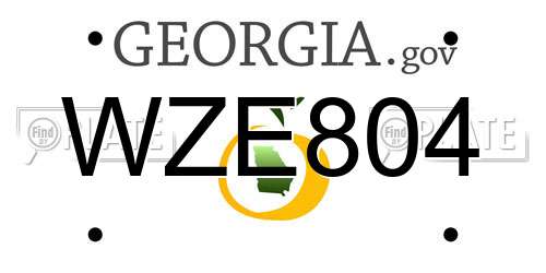 WZE804 Georgia License Plate