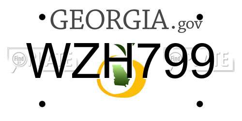 WZH799 Georgia License Plate