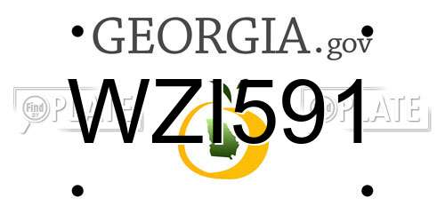 WZI591 Georgia License Plate