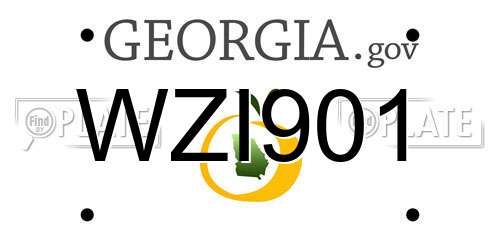 WZI901 Georgia License Plate