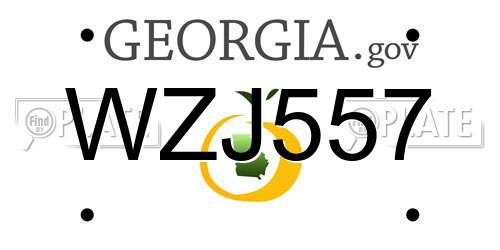 WZJ557 Georgia License Plate