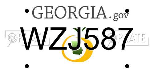 WZJ587 Georgia License Plate