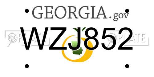 WZJ852 Georgia License Plate