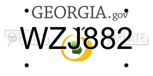 WZJ882 Georgia License Plate
