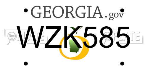 WZK585 Georgia License Plate
